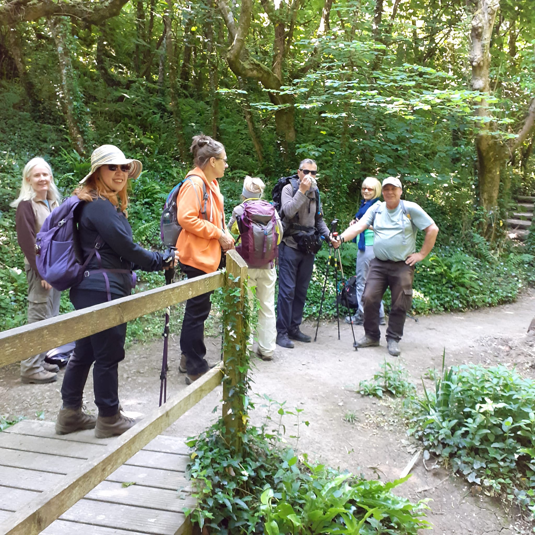 Newport Outdoor Group Weekday Walks
