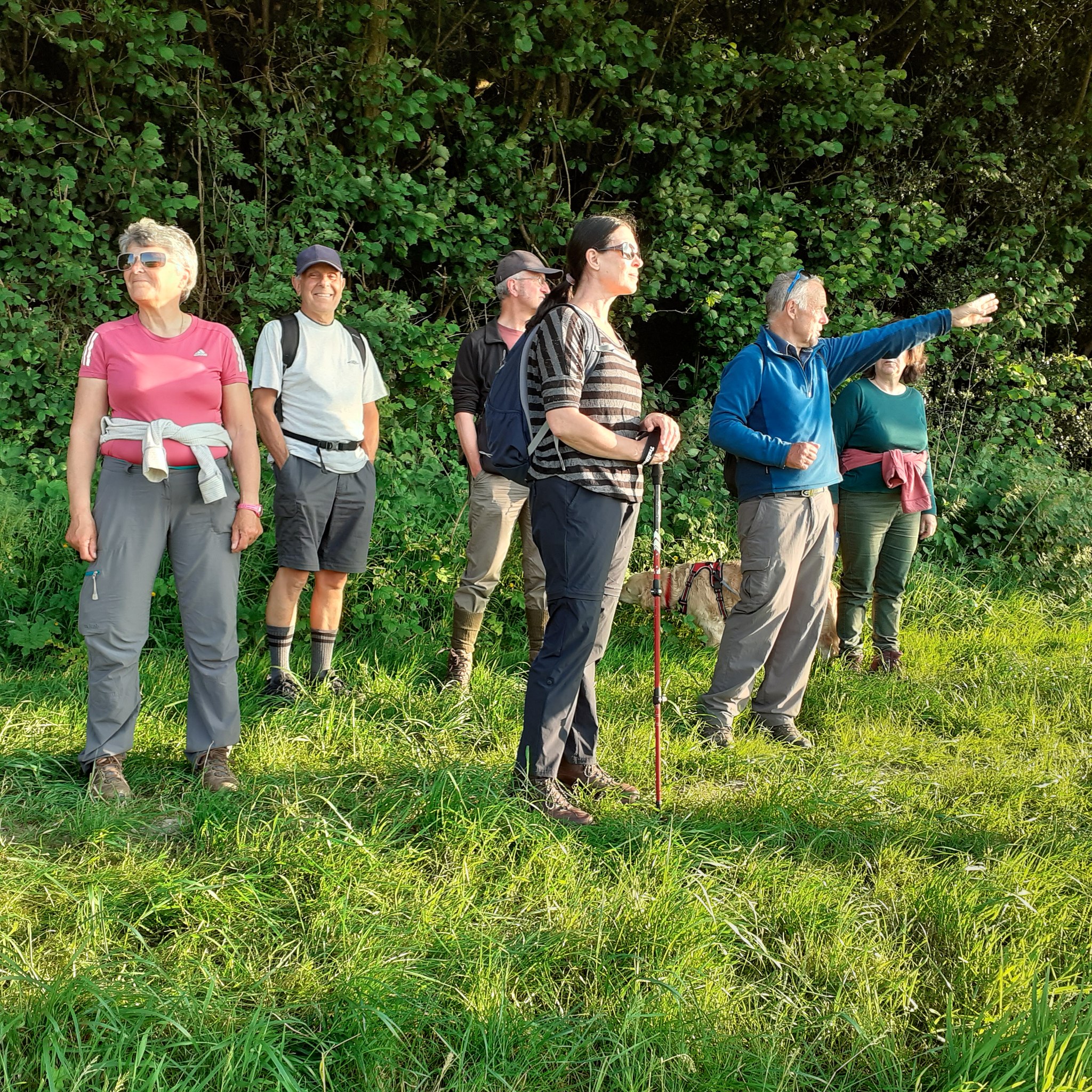 Newport Outdoor Group Weekday Walks